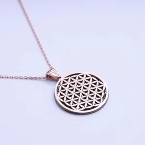 image_1950-2103.webp Yaşam Çiçeği Modeli