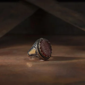 image_1950-462.webp El Vedüd Modeli